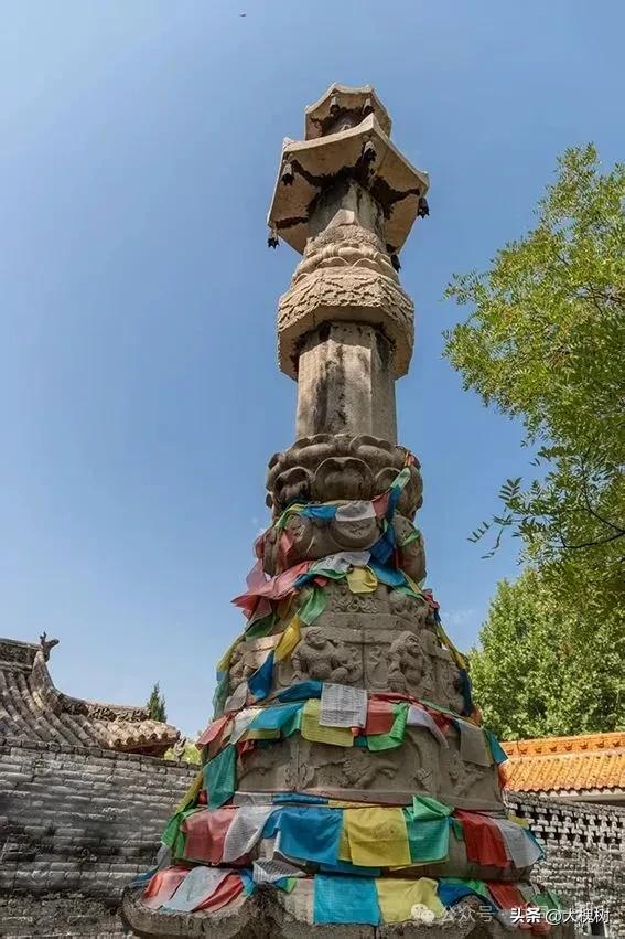 山西高校新生专属福利：洪洞大槐树景区免票迎新生，赠暖茶传文化