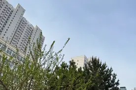 河北大部晴暖干燥多地重回20℃以上 明天北风呼啸需注意防风防火图片