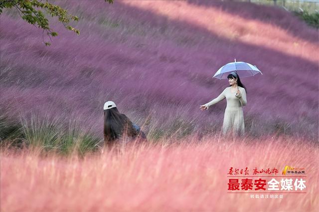 邂逅粉色花海，秋日限定浪漫“上新”