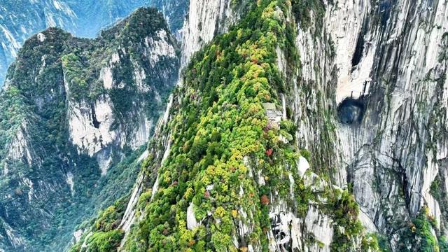 错过再等一年！华山红叶已到最佳期！