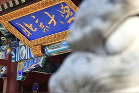 零度时评丨“听泉鉴宝”疑似学历造假，再小的谎言也是谎言图片