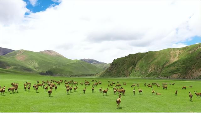 深秋的昌都：山川如画，人情暖心