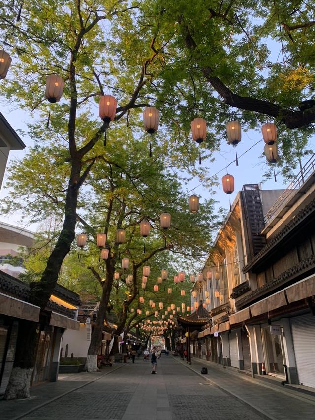 大量法国游客涌入杭州，打着旅游幌子不去旅游不吃美食，为啥来？