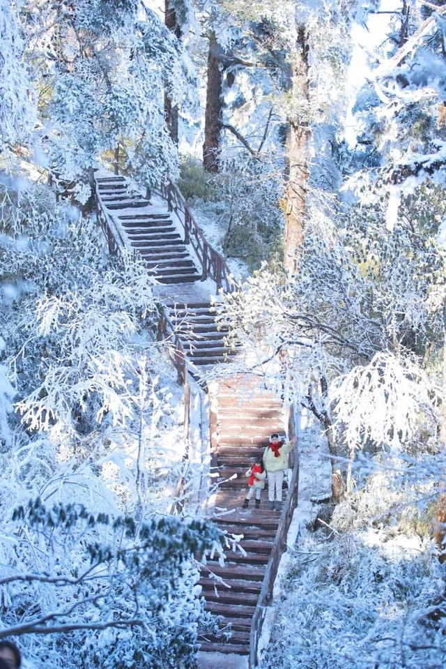 太好了是瓦屋山的雪，我们南方孩子又快乐了！