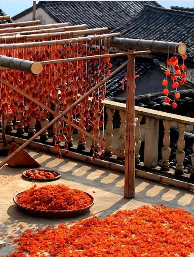 央视镜头锁定！11月，和撒贝宁在歙县上丰村邂逅一场金色的秋日限定 | 皖美冬日 | 第十五届安徽国际文化旅游节