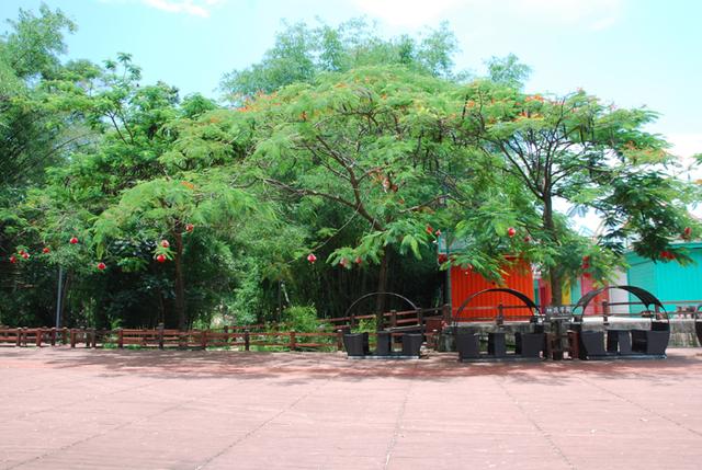 携台湾亲朋自驾游滇西南之十一