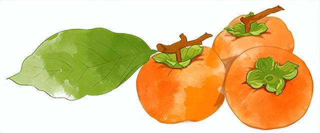 秋日临洮漫游记：20分钟邂逅公园的诗意