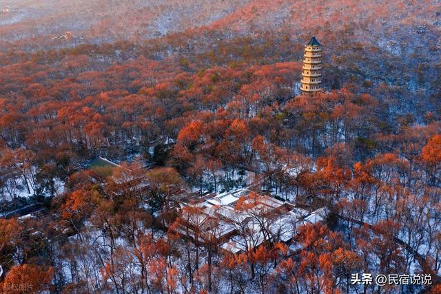 南京在大寒里突现“名场面”，据说都藏在这里，超值得玩。