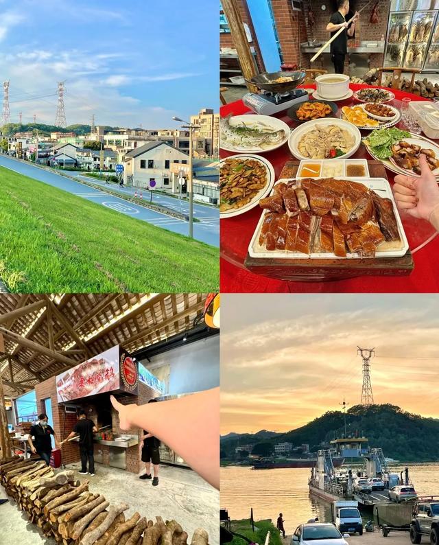 广州出发1天游,广东版的绝美“蓝眼泪”+北江千亩芦苇花盛开