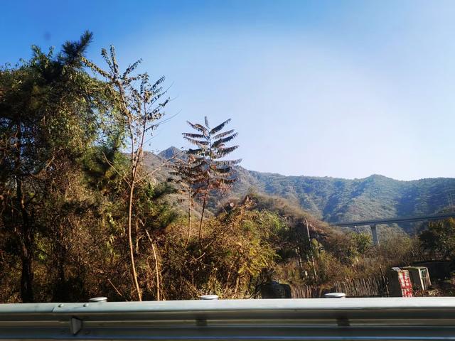 无需去公园，请随着我进山看风景吧