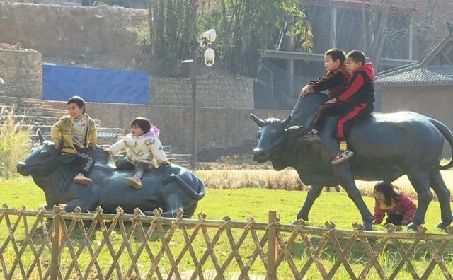 “桃源使者”杨丽枫：扎根柔软坝美，打造灵魂栖息地