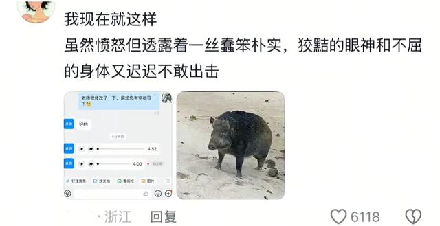 你在外边玩的正开心接到领导消息，网友 ：在动物园开腾讯会议