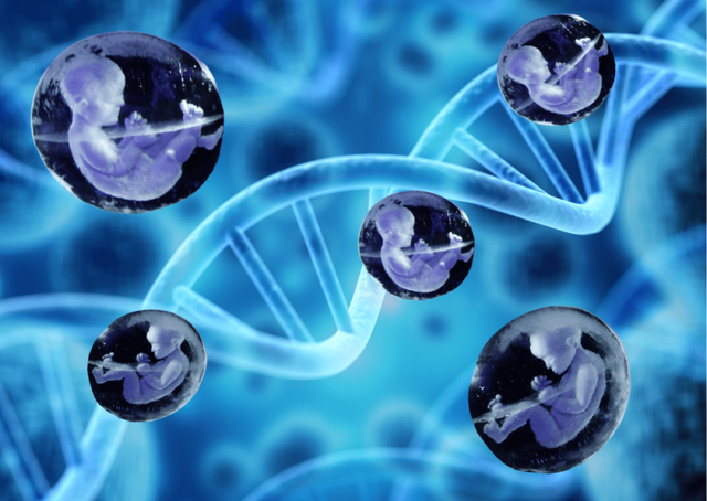 实锤？马斯克的14个娃，是基因筛选过的“超级婴儿”？