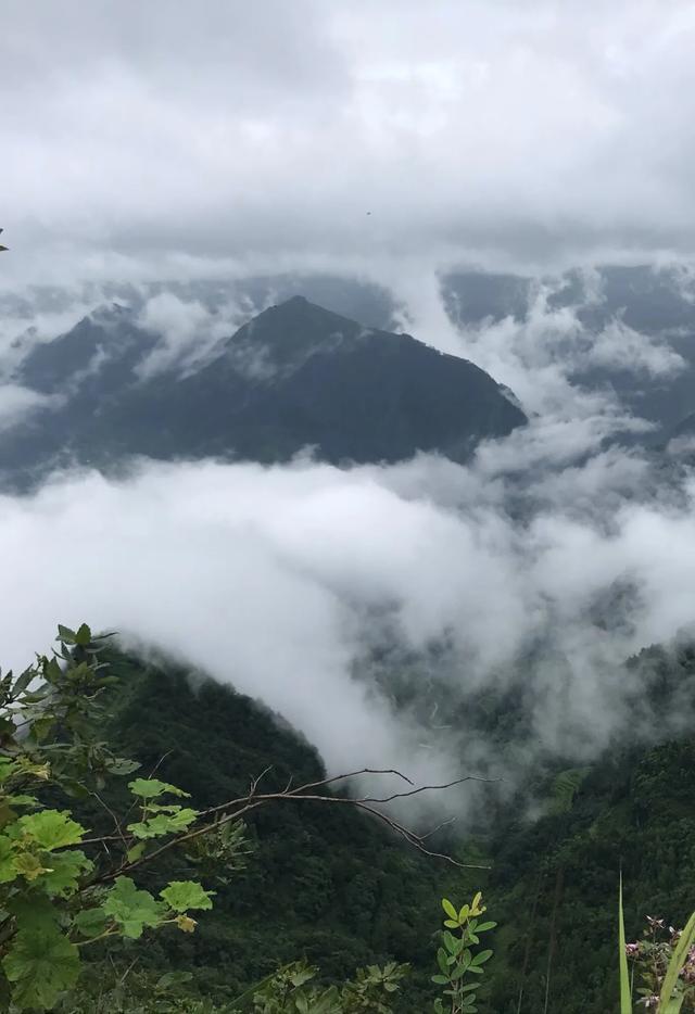 对苏马荡避暑生活有始有终，才让她们嗅到机会，能捡大瓜