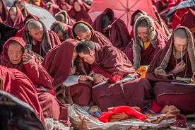 中国尼姑岛：生活着2万尼姑，遵守348条戒规，天黑实行特殊戒律图片