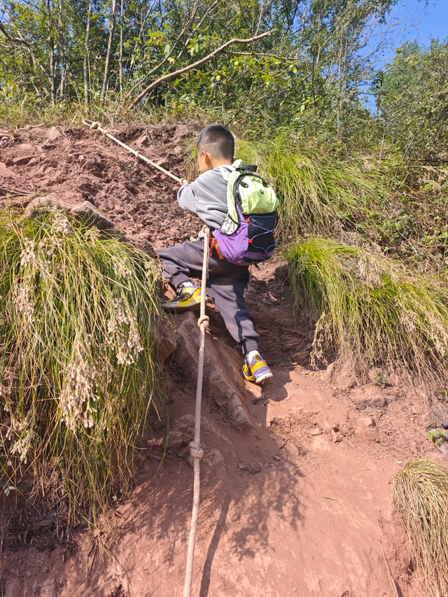 成都0.5h超小众亲子路线，登高望远摘果子，不走寻常路~