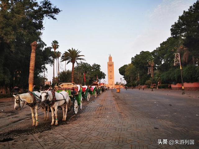从马拉喀什到菲斯，一场色彩与信仰的穿越之旅