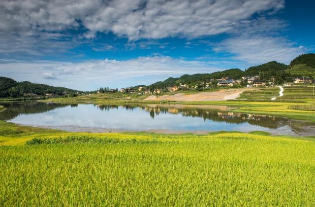 “醉幸福 最养生”——泸州4条健康旅游线路开启身心疗愈之旅