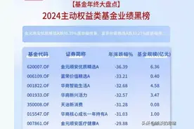 2024年基金亏损前20名，其亏损幅度有点出乎意料！图片