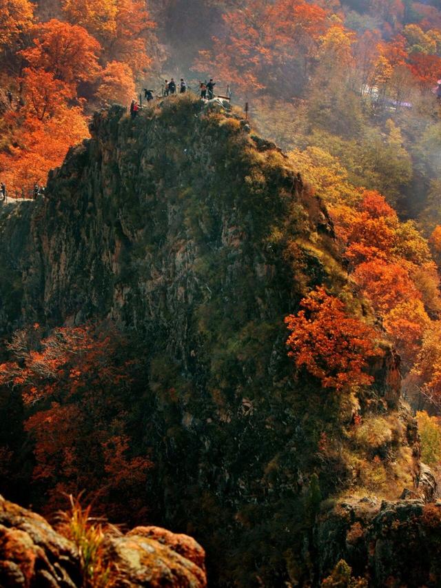 吉林这边秋色正好！重阳攀登“步步高”