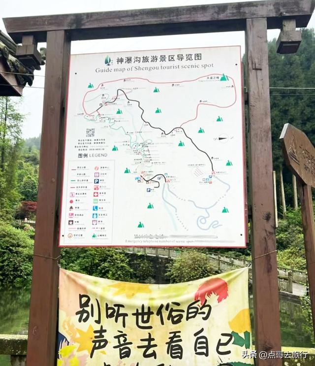 四川又一高山杜鹃惊艳了，刚好进盛花期，云海中的花园，非常唯美