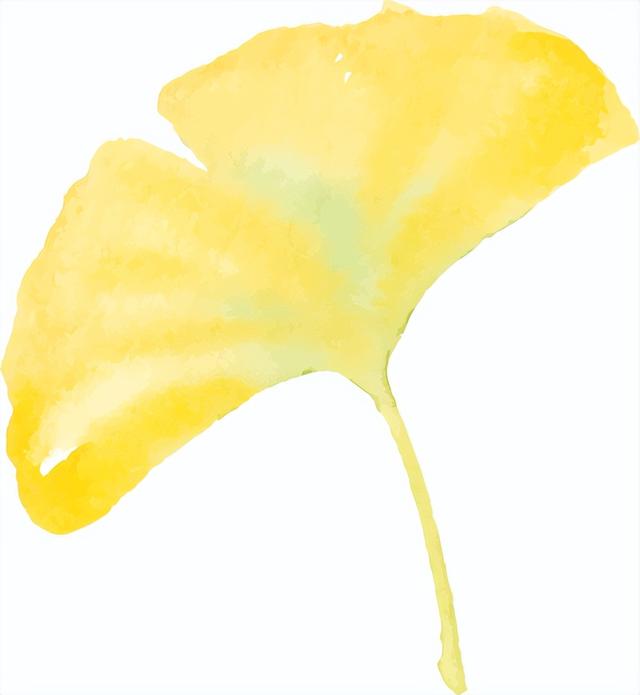 萧山街头又现新打卡地~这份初冬的浪漫将持续到年底