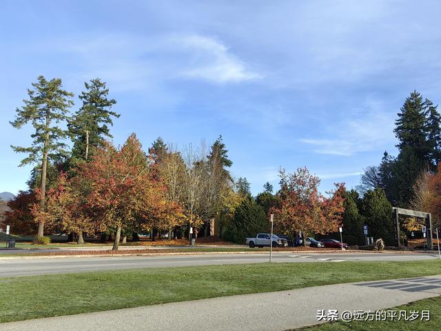 温哥华游记（四）