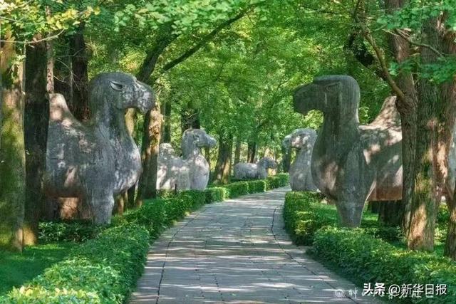 读诗词游水韵江苏｜“世界文学之都”寻古探幽