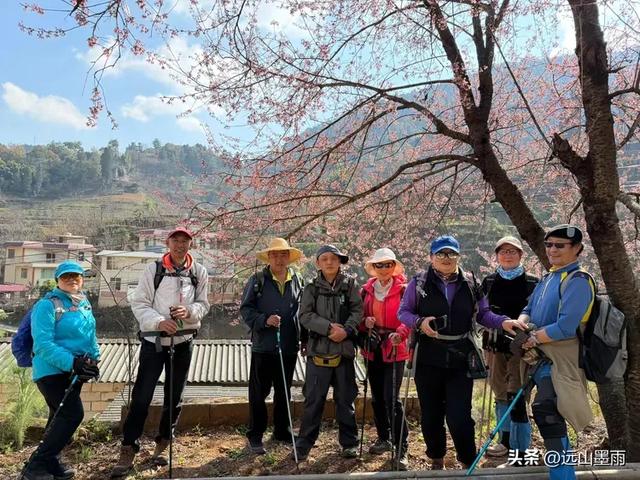 阳光明媚的冬日里，我们爬山去，逛陡坡村、看冬樱花，做晴朗的事