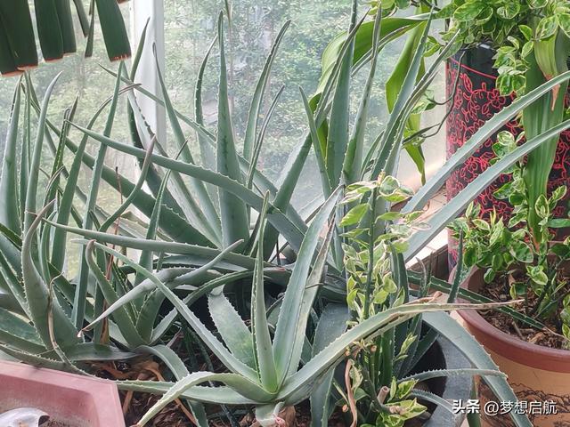 出行拜访友，一天游