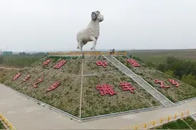 盐池滩羊：宁夏的美食特产为我的家乡骄傲!图片