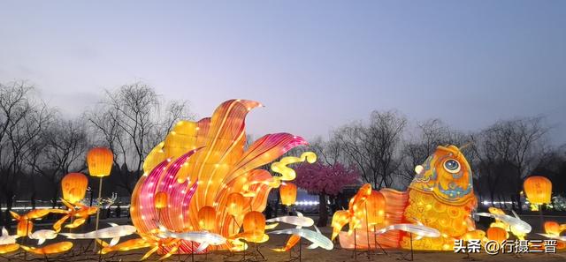 舜帝花海——邂逅一场别具一格的视觉盛宴