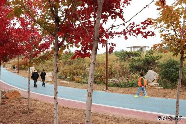 解锁峰峰元气满满的秋天