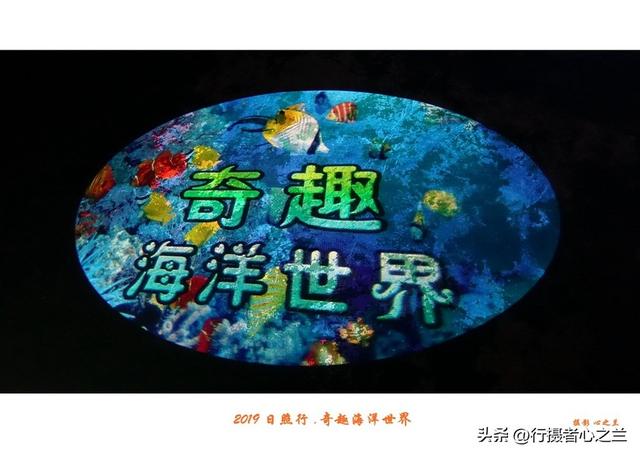 山东行游影记（90）—日照奇趣海洋世界（一）
