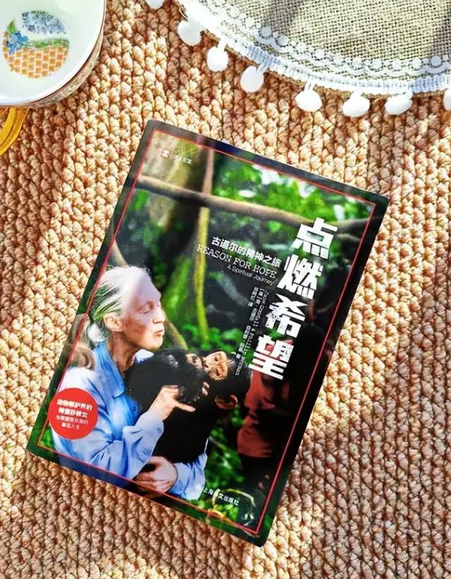 从被排斥到“精神灯塔”：珍・古道尔的黑猩猩与环保传奇