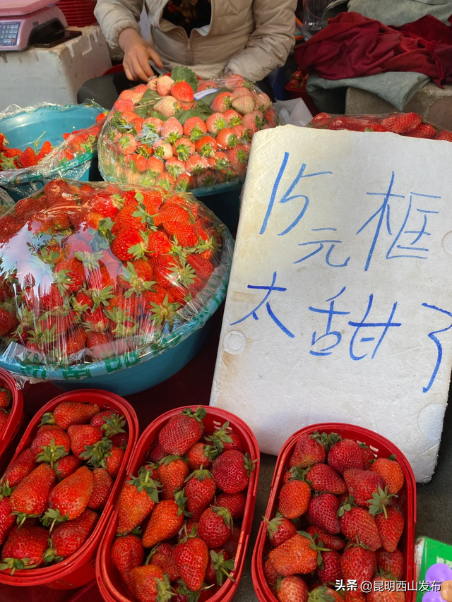 @外地人，不用找了！来昆明旅居锁死西山这三大片区