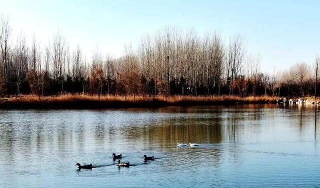 冬天，一定要来一趟潍坊青州！