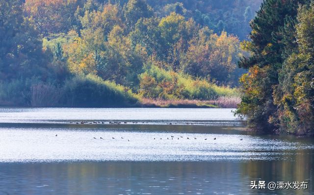 国家级“天然氧吧”，马上冲！