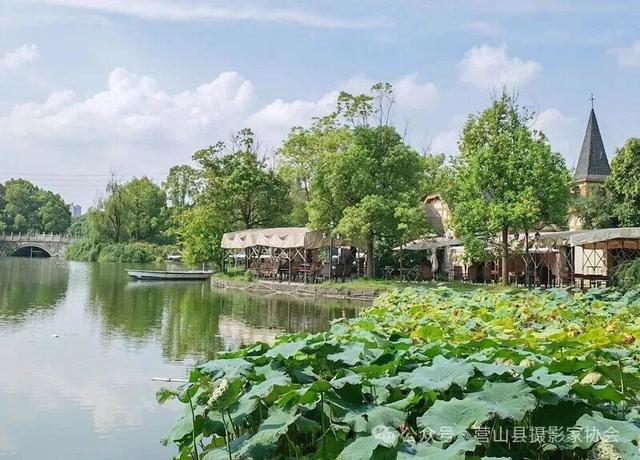 李永辉：水墨画卷——成都南湖公园