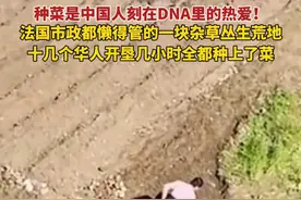 笑不活了！华人在法国开荒种地紧跟热点，评论区全是内蒙古纪云浩图片