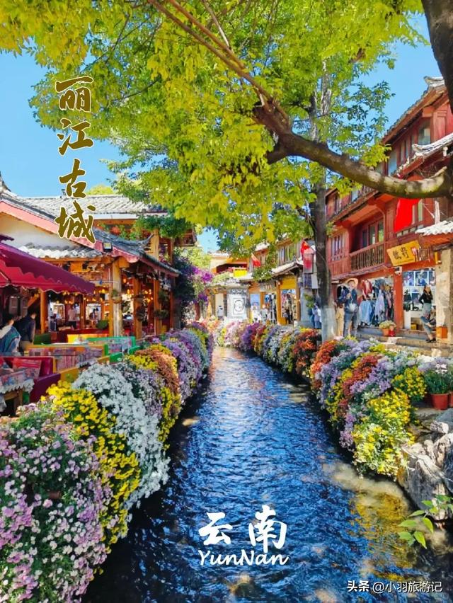 暑假遛娃首选!云南8天亲子游详细路线!体验20℃的夏天爽翻了!