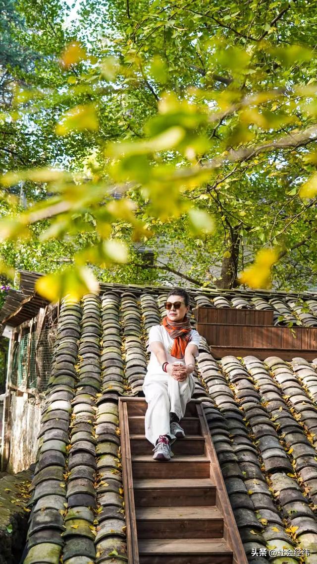 千年银杏染醉腾冲秋——走进“中国银杏第一村”