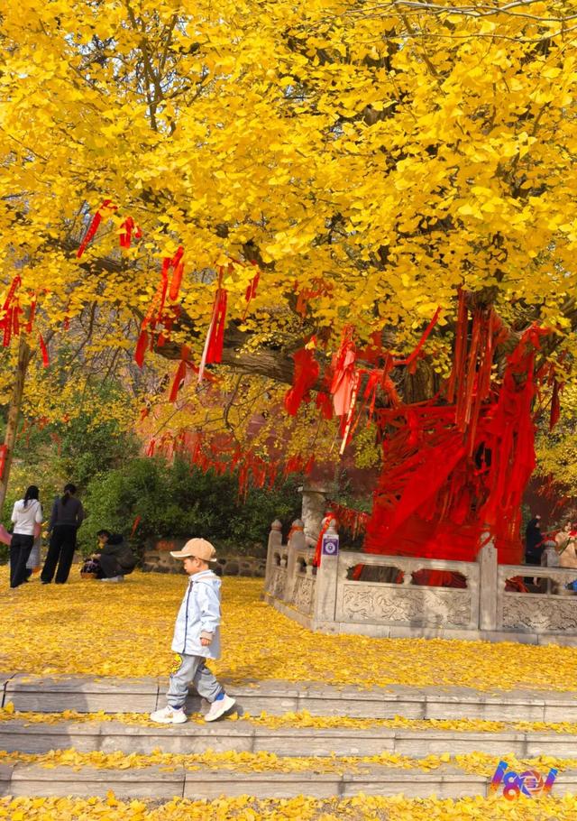 顶流“约会”，主角2500岁 ！潍坊安丘城顶山！