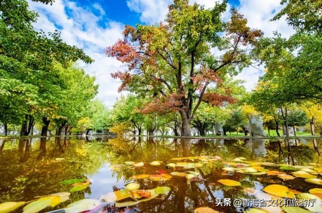邂逅海南，赴一场斑斓的秋日盛景之约