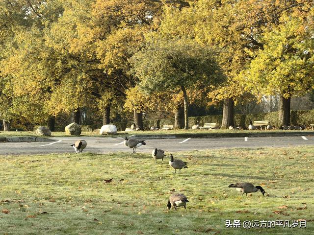 温哥华游记（四）