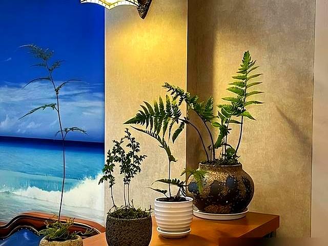 “阴花不能进阳宅”、家里若有这5种花，请赶紧“搬出去”！