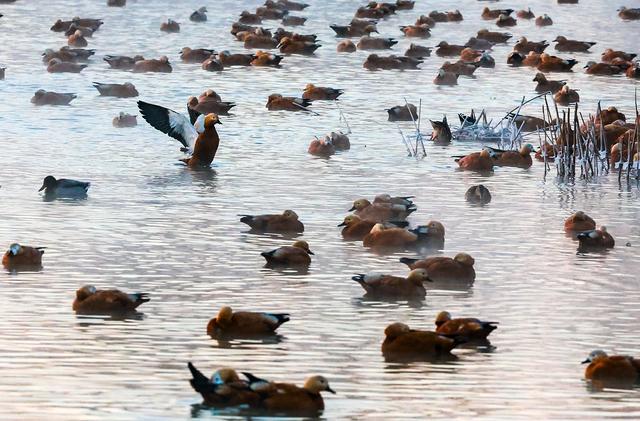呼和浩特玉泉区：“千岛湖”畔迎客来