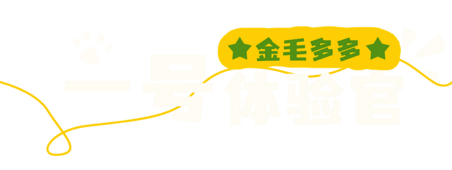 汪汪队！集合！