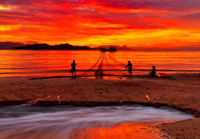 福建霞浦,金色的滩涂,蓝色的海