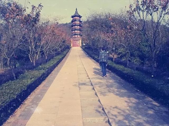 牛首十年，感恩大礼不要错过